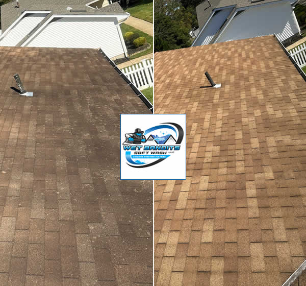 Wet Bandits Roof Washing Services